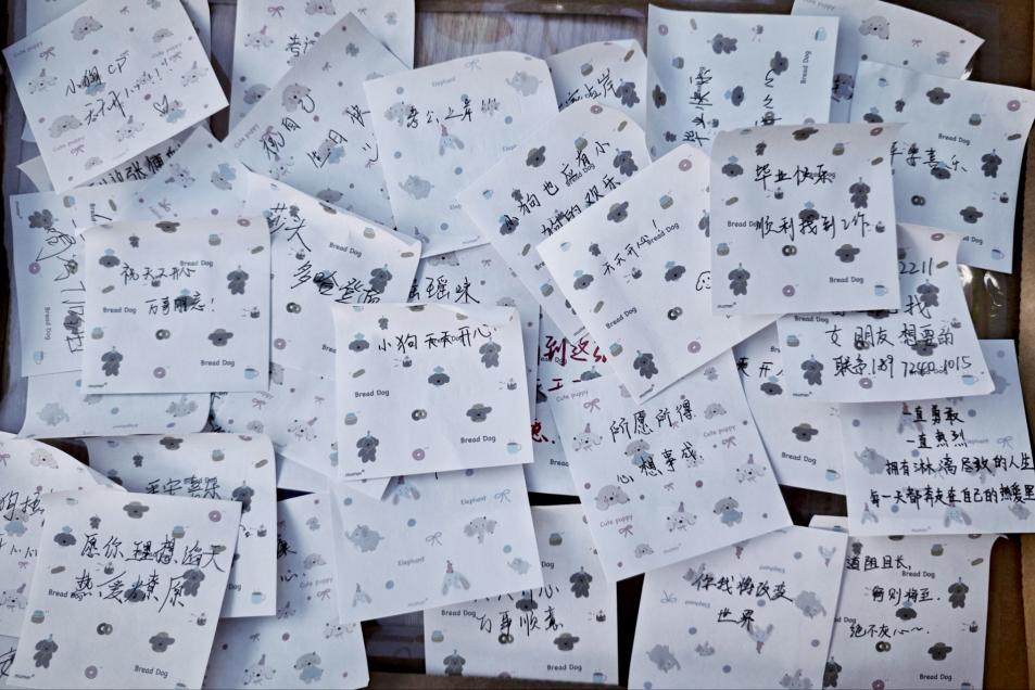 34ED76DFAEB763917B101614A6740F96